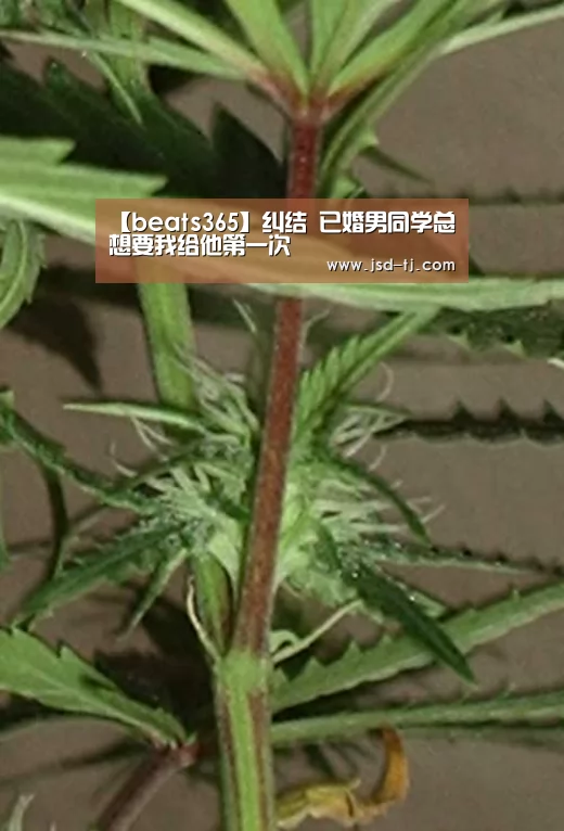 【beats365】纠结 已婚男同学总想要我给他第一次