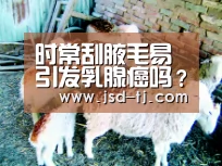 时常刮腋毛易引发乳腺癌吗？-beats365